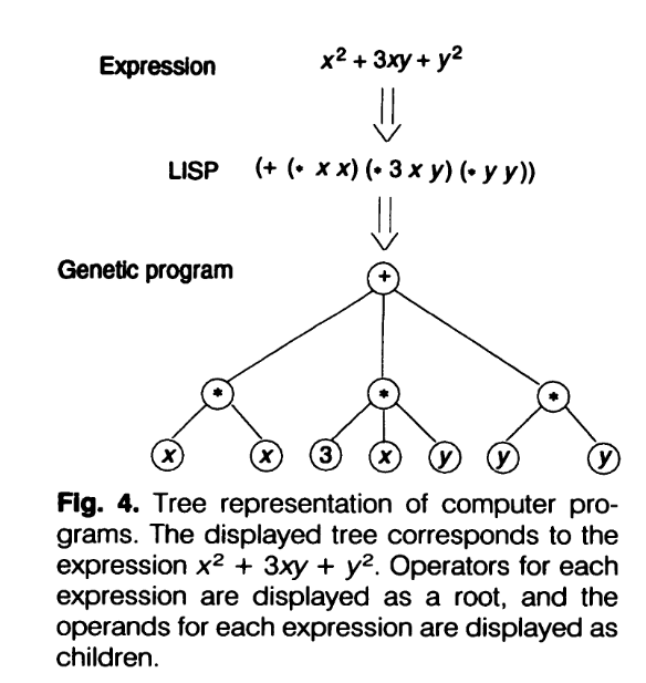 Expression Tree from 10.1126/science.8346439